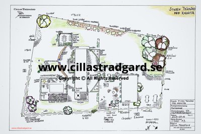 Cillas Trädgård Rådgivning & Design   www.cillastradgard.se