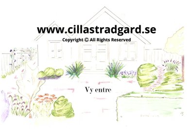 Cillas Trädgård Rådgivning & Design   www.cillastradgard.se
